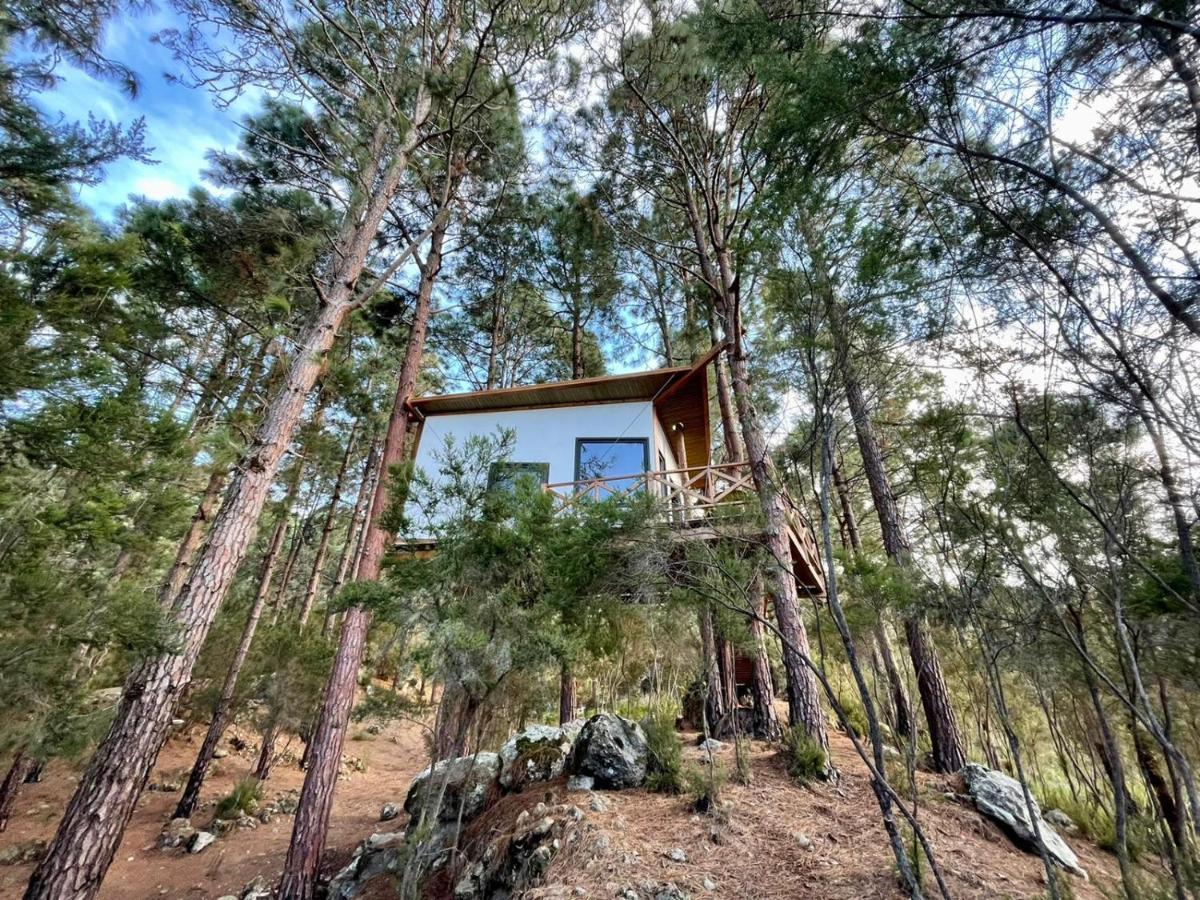 Casita Colgada "Can Lia" La Guancha Exterior photo